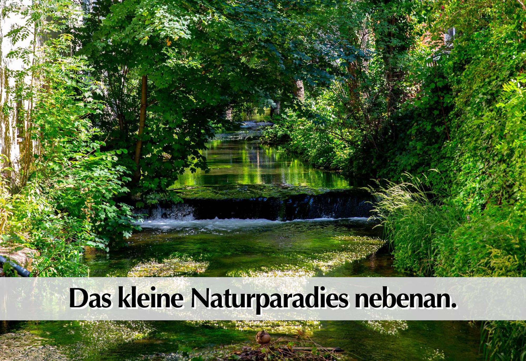 Stadtperle Am Plaetschernden Wasser - 50M2 2R Malerische Fewo In Top Lage แอร์ฟวร์ท ภายนอก รูปภาพ